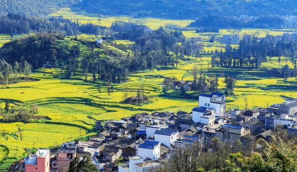 從傳統(tǒng)畜牧到數(shù)字化養(yǎng)殖