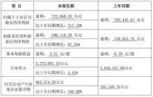 大華股份發(fā)布2023年度業(yè)績預(yù)告：營收322.31億元，業(yè)績穩(wěn)步增長