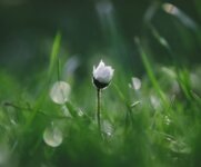 霍曼中國銷售年會(huì)成功召開