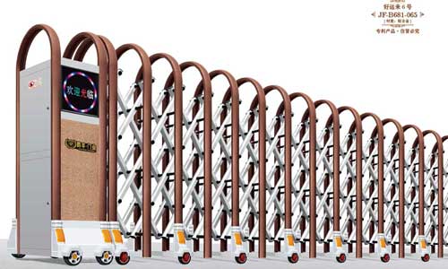 好運來6號JF-B681-065