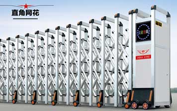 電動伸縮門 - 直角網(wǎng)花伸縮門