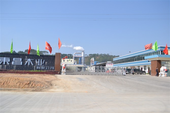 欽州市大寺東昌木業(yè)電動(dòng)伸縮門案例 - 中出網(wǎng)-智能出入口與停車充電門戶