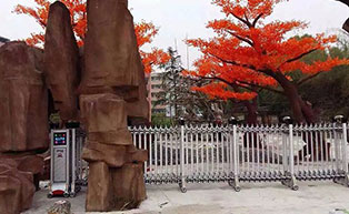 湖北陽新藍天雙語學校伸縮門工程案例