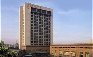 合肥元一希爾頓酒店自動(dòng)門案例