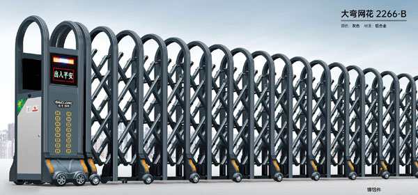 其他 - 大彎網花-2266-B