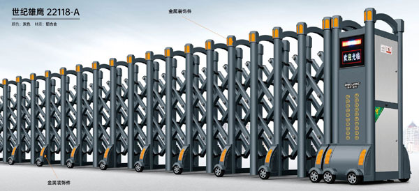 其他 - 世紀雄鷹-22118-A