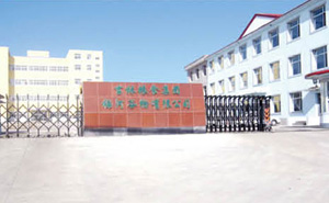 吉林糧食集團(tuán)伸縮門案例