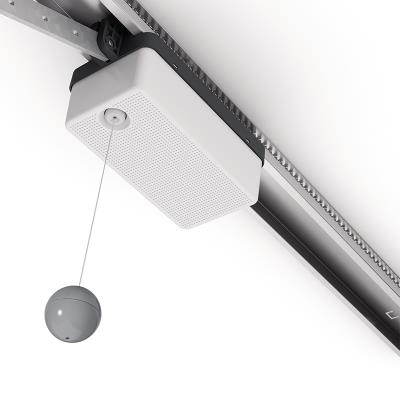 上翻式電動(dòng)車庫門SPY