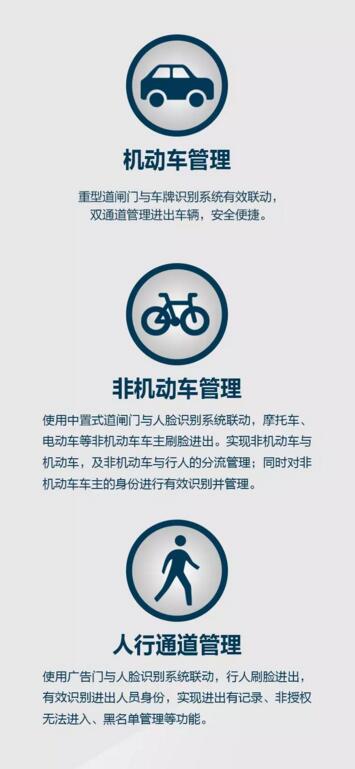 機動車道、非機動車道、人行通道