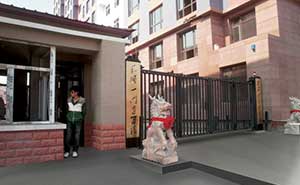 黑龍江平安家園智能無軌懸浮門工程案例 - 中出網(wǎng)-智能出入口與停車充電門戶