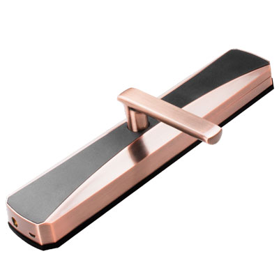 智能鎖黑莓靜音系列TS-BS1004