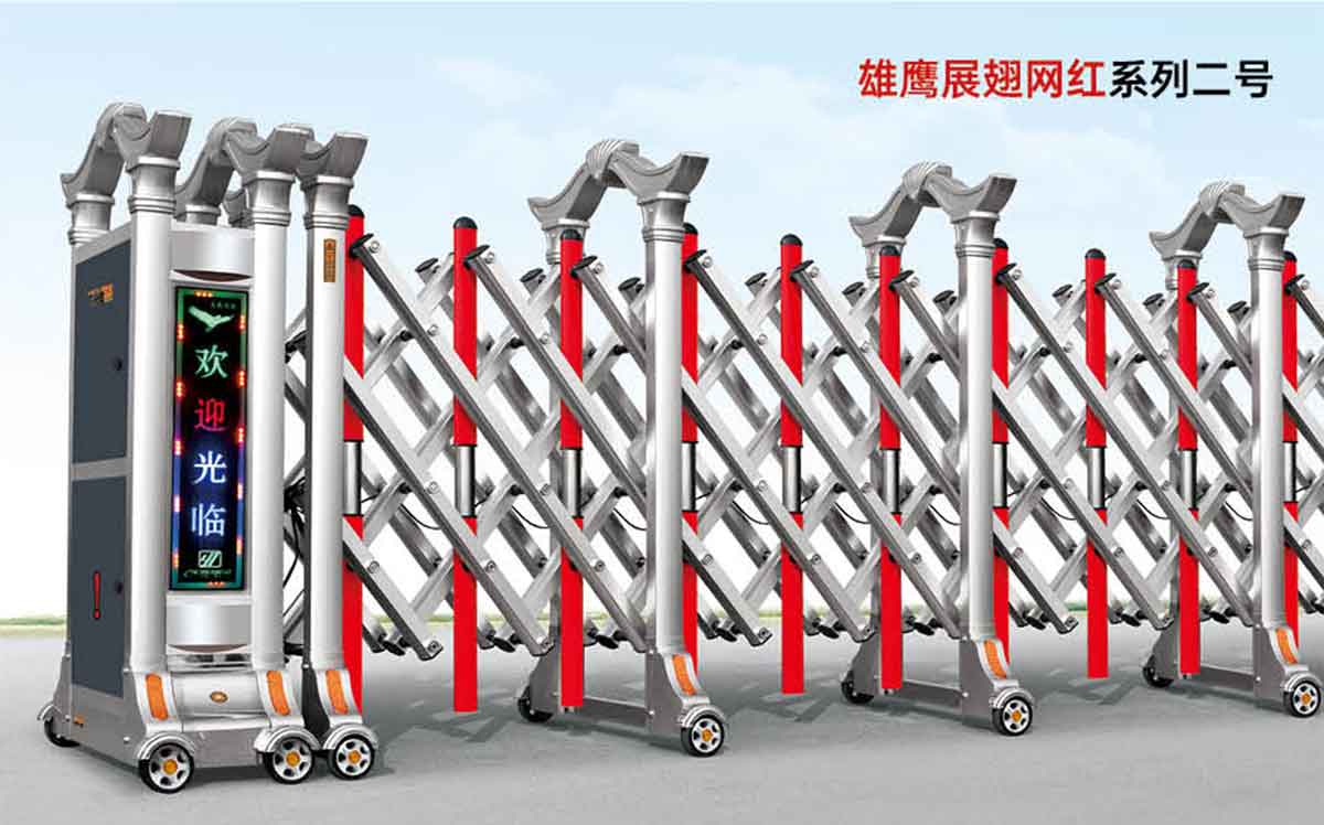 雄鷹展翅網(wǎng)紅系列二號