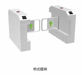其他 - 橋式擺閘