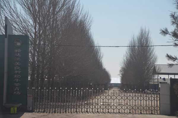 綏化裕達(dá)澳美良種奶牛繁育場(chǎng)電動(dòng)伸縮門案例 - 中出網(wǎng)-智能出入口與停車充電門戶