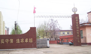 冠縣金冠紡織有限公司伸縮門案例 - 中出網(wǎng)-智能出入口與停車充電門戶