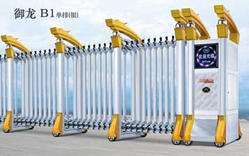 御龍B1單排-銀電動(dòng)門