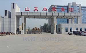 山東本草集團(tuán)電動伸縮門案例