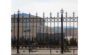 鐵藝護(hù)欄-帝王式