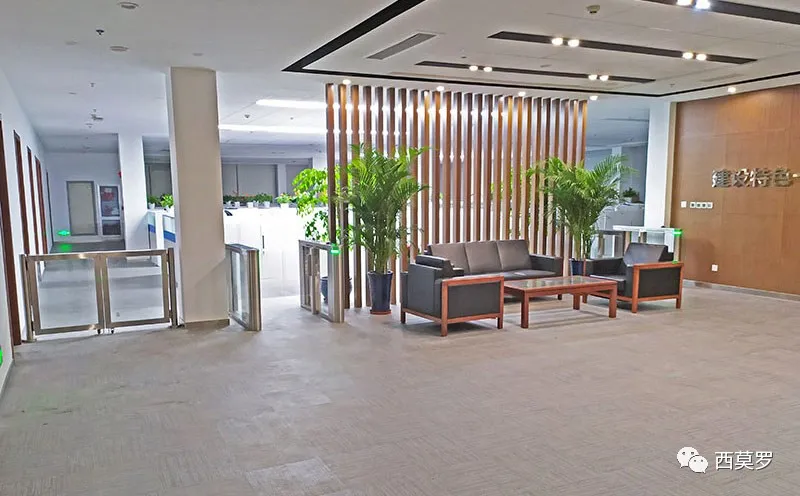 中國(guó)石化江漢石油-人臉識(shí)別擺閘