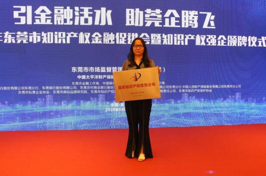 榮獲國家知識產(chǎn)權(quán)優(yōu)勢企業(yè)