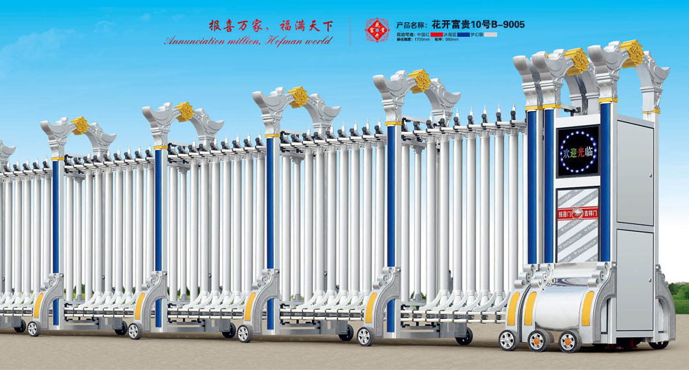 電動(dòng)伸縮門 - 花開富貴10號(hào)B-9005