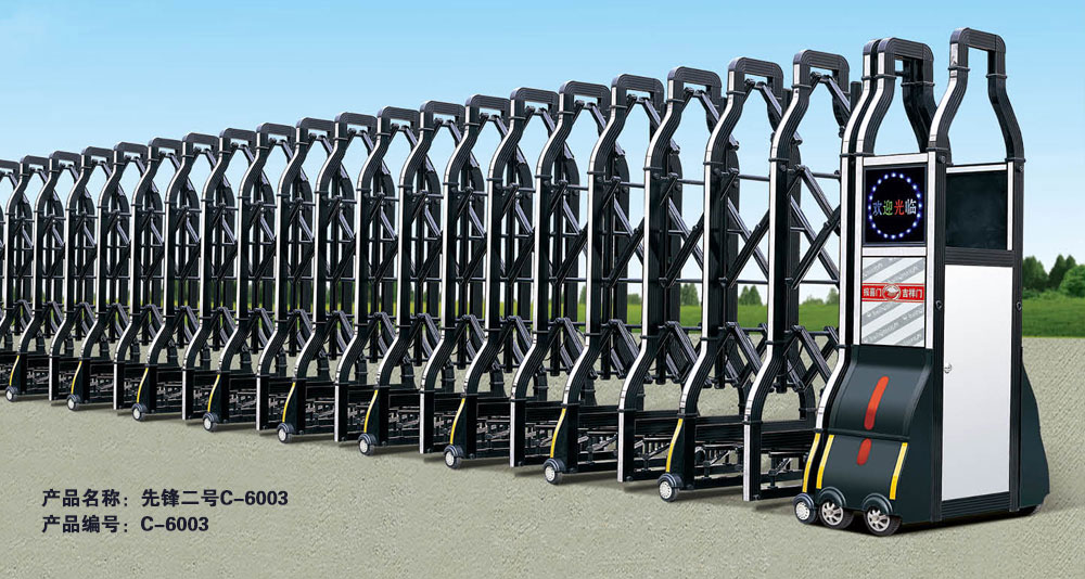 電動伸縮門 - 先鋒二號C-6003