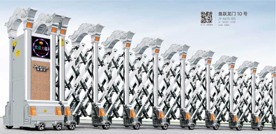 其他 - 魚躍龍門10號