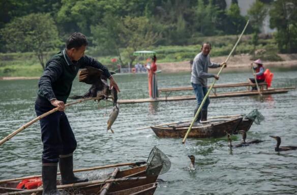 個(gè)性化旅游、沉浸式旅游