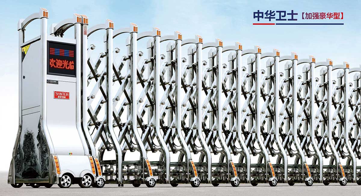 中華衛(wèi)士（加強(qiáng)豪華型）