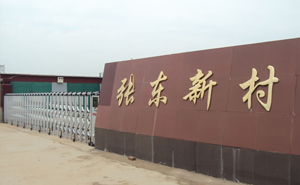 衡水市景縣龍華鎮(zhèn)張東新村新居民小區(qū)電動(dòng)伸縮門案例