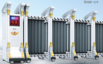 錦衛(wèi)8000F型