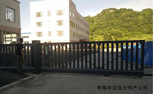 樺甸市達(dá)頂土特產(chǎn)公司平移門