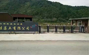 鴻鵬物流有限公司