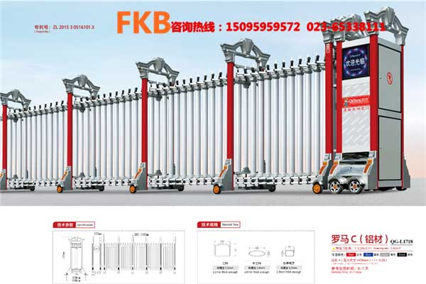 電動門羅馬C鋁材