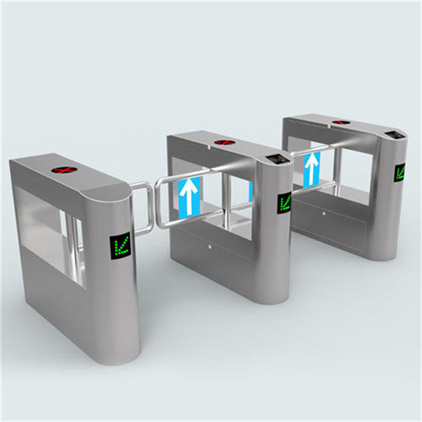 雙通道擺閘