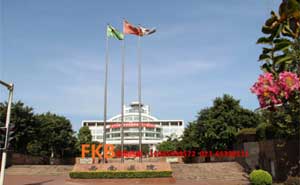 西南醫(yī)院旗桿案例