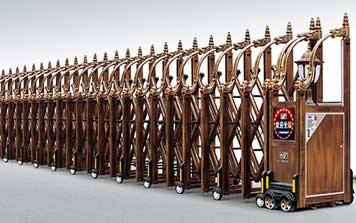 電動伸縮門 - 東方神龍網(wǎng)花一號伸縮門