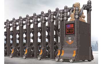 電動伸縮門龍韻393A（古銅銀）