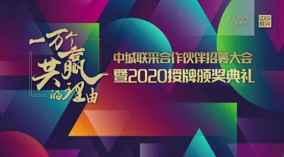 中國城市房地產(chǎn)開發(fā)商策略聯(lián)盟