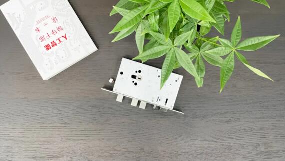 全自動(dòng)鎖體