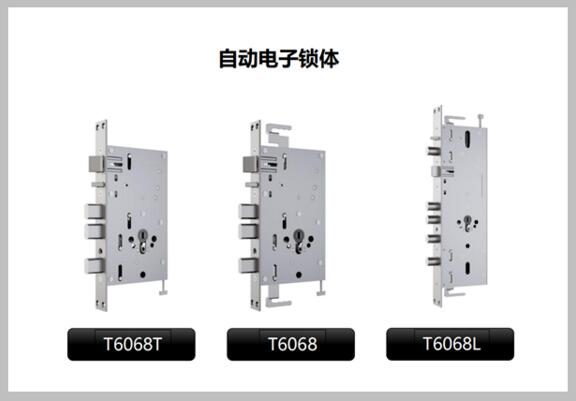 亞太天能專利機(jī)電一體化全自動(dòng)鎖體系列