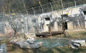 貴州黔靈山公園電子圍欄案例 - 中出網(wǎng)-智能出入口與停車充電門戶