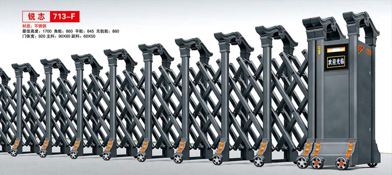 其他 - 銳志713-F